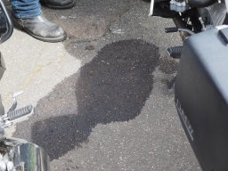 Hahn Auf_Anlassen_2024-P4280016